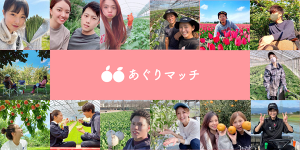 d82637-3-b5d097303d9dda4371f3-0