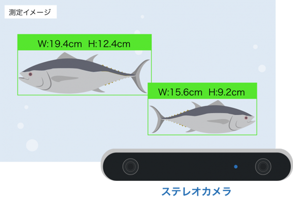 d22582-65-d2db1f54a1ba2e8473fd-1