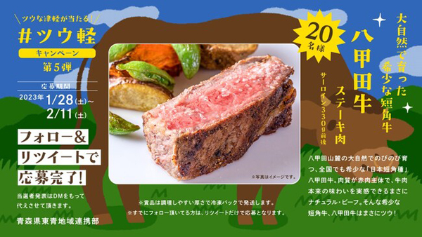 d111477-5-8039bb70bbd038239cac-0