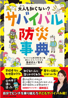 d48095-1264-b5ae98fb16f1dee5dbab-1